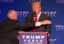 trump right side of the fight